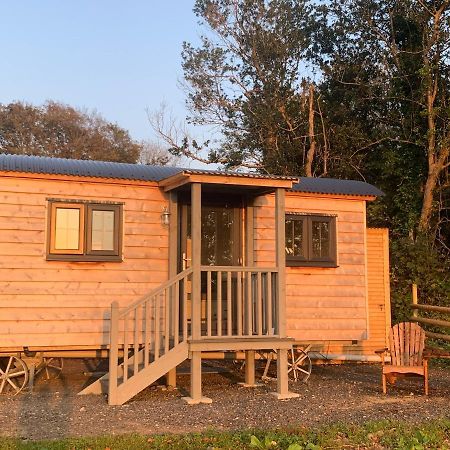 Lle Mary - Beautiful Views, Hot Tub, Secluded, Dog Welcome, Barmouth Llanddwywe Екстер'єр фото