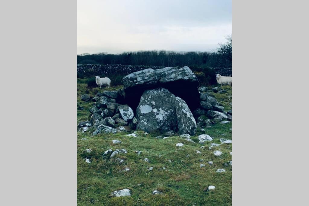 Lle Mary - Beautiful Views, Hot Tub, Secluded, Dog Welcome, Barmouth Llanddwywe Екстер'єр фото