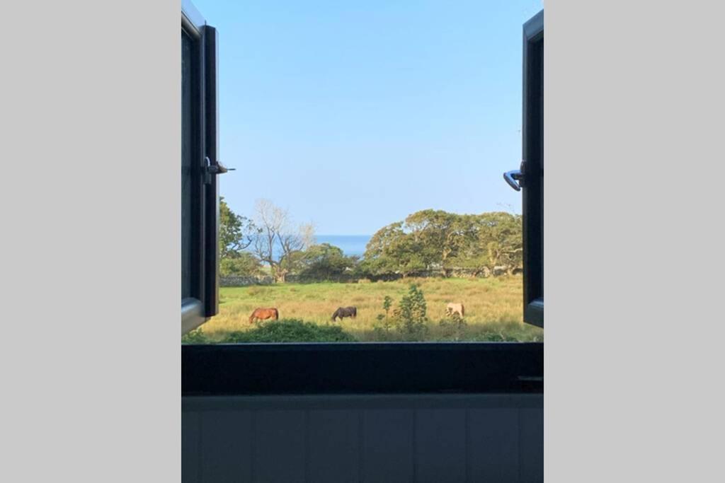 Lle Mary - Beautiful Views, Hot Tub, Secluded, Dog Welcome, Barmouth Llanddwywe Екстер'єр фото